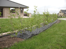 Ogräsduk WeedControl Recycled 1 x 20 m Fibertex